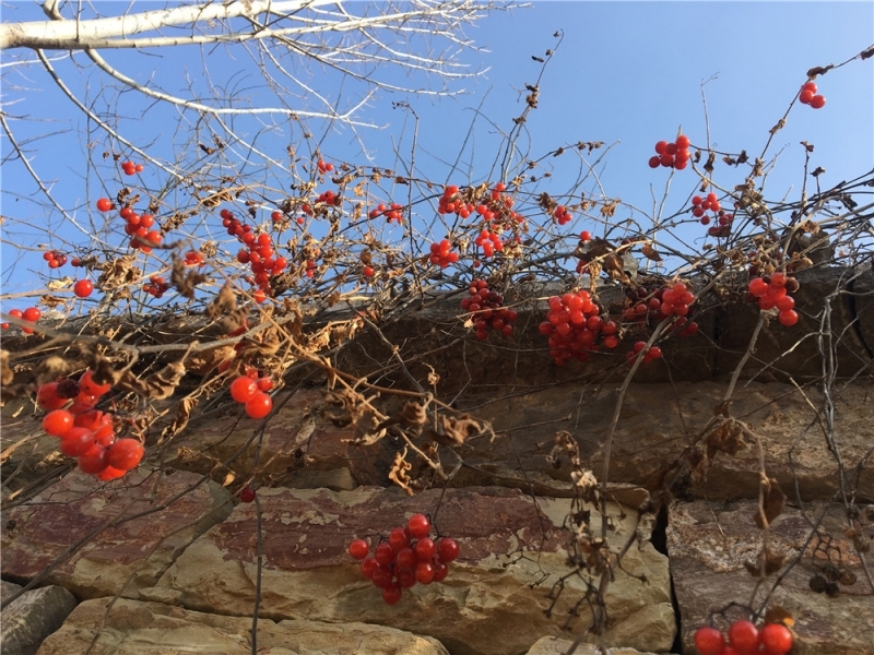 ΢��ͼƬ_20200121015917.jpg